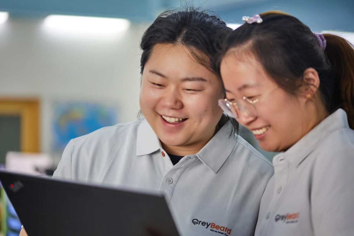 examples-of-what-constructor-automates-greybeard-solutions